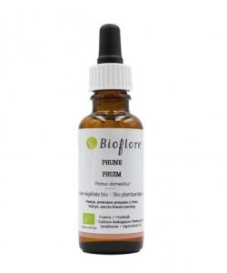Plum vegetable oil BIO, 30 ml